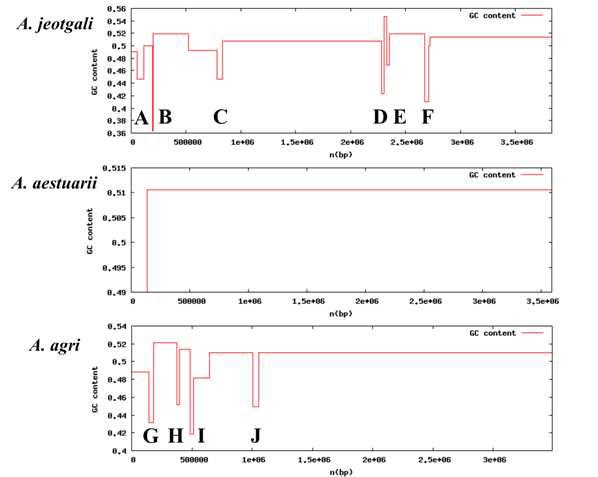 Alishewanella 유전체의 GC 함량 변화