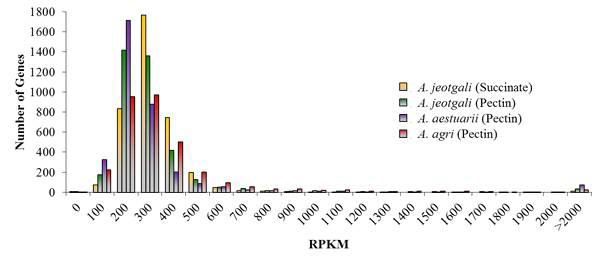 Alishewanella의 RNA-seq 수행결과 RPKM 값의 분포.