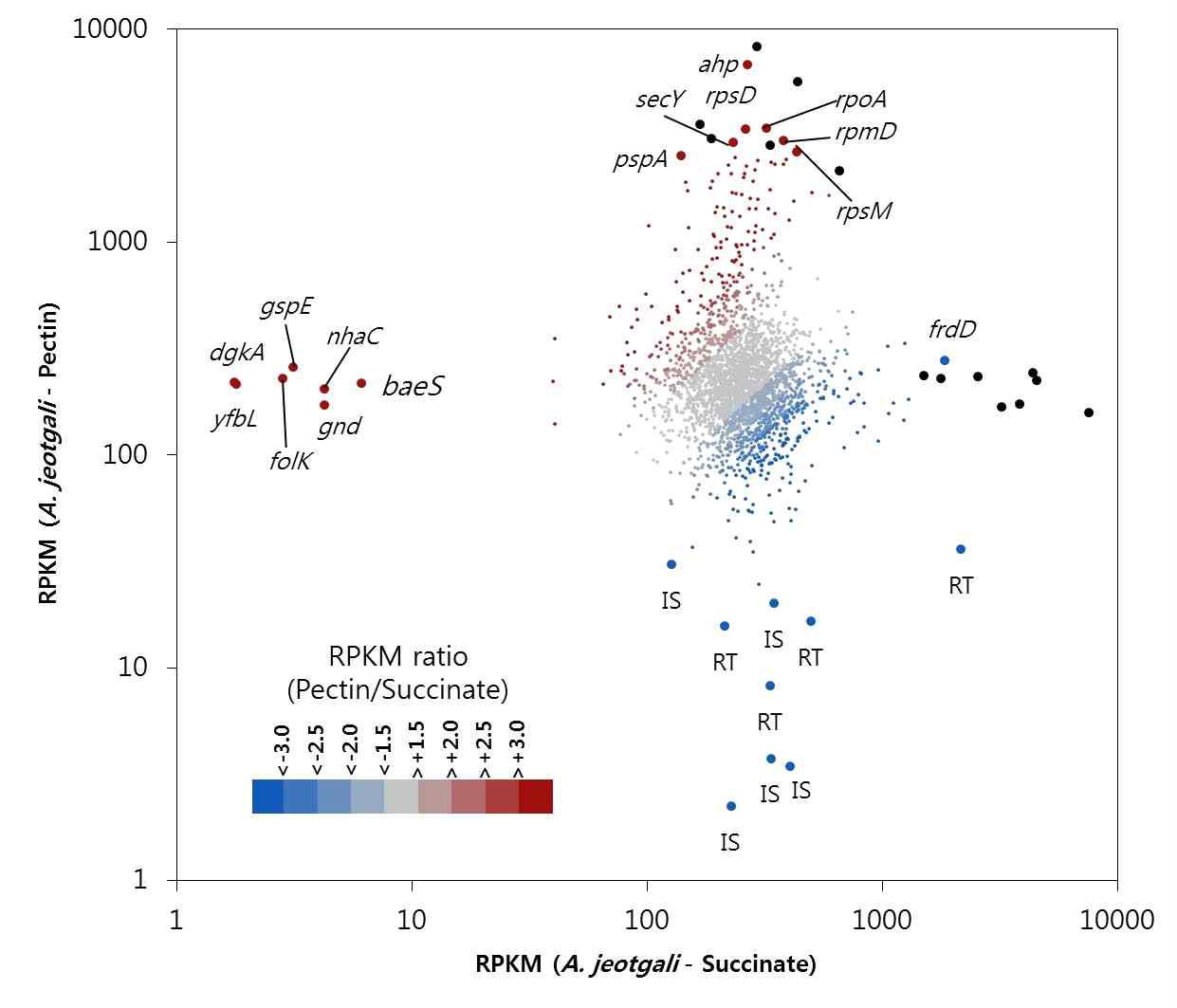 Succinate와 Pectin을 이용하는 A. jeotgali의 RPKM 값의 xy plot. 각 점은 유전자 하나를 나타냄. 검은 점은 hypothetical protein 임. IS는 transposase, RT는 reverse transcriptase임.