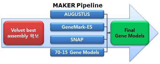 Genome assembly 및 gene prediction 작업 흐름도