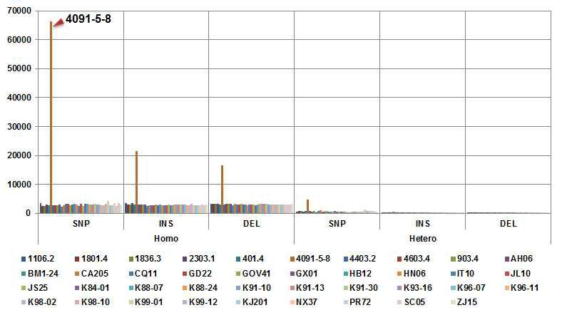Distribution of homo- and hetero-variants found in the M. oryzae genome sequences