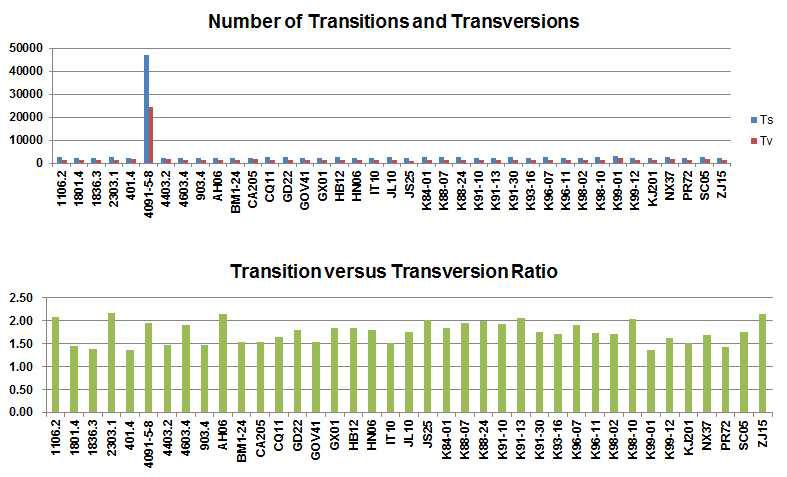 The number of transitions and transversions, and their ratio