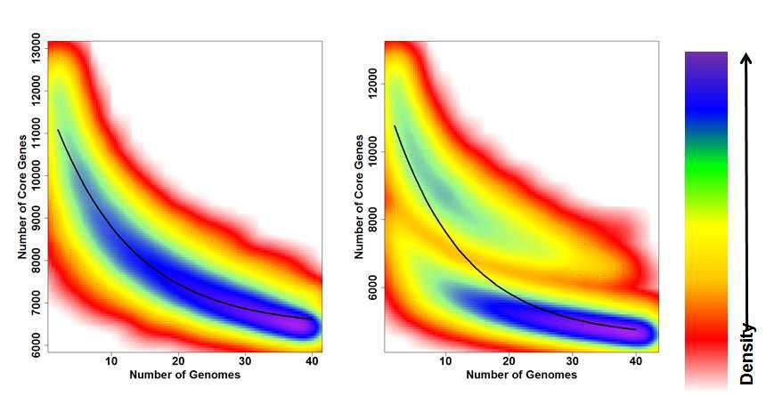 Two-dimensional density plot for M. oryzae core genes. (A) calculated with the genome sequences of M. oryzae 40 isolates and (B) calculated with the 40 M. oryzae and 2 M. grisea genome sequences.