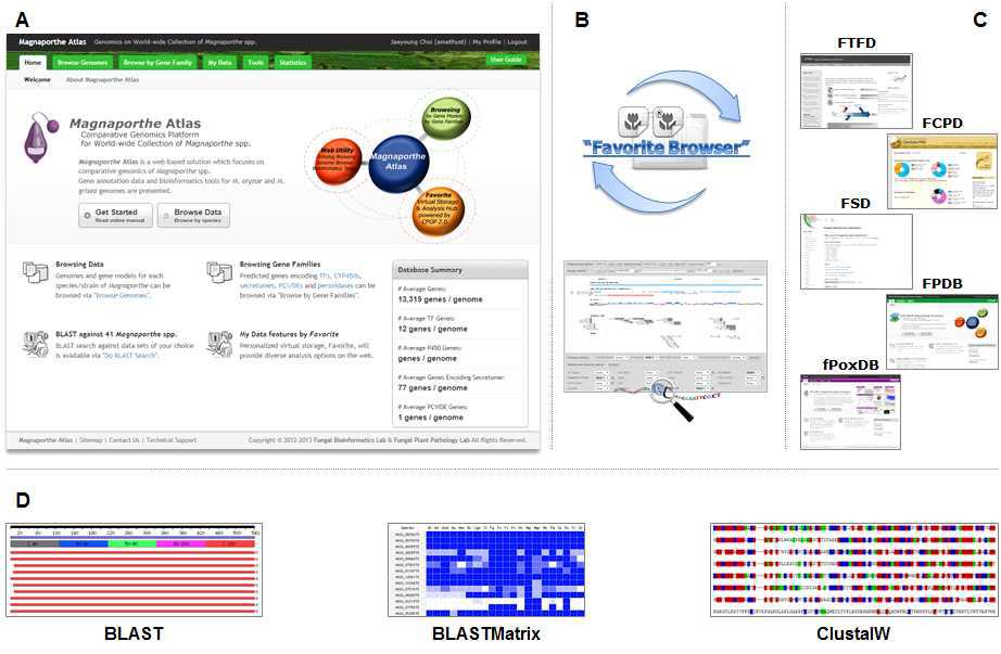 Utility of Magnaporthe Atlas. Magnaporthe Atlas provides (A) web interfaces following the recent web standards for comfortable browsing, (B) the SNUGB module as well as data sharing and analysis functions via “Favorite Browser”, (C) the identification result of several gene family pipelines, and (D) job submission functions for running bioinformatics tools.