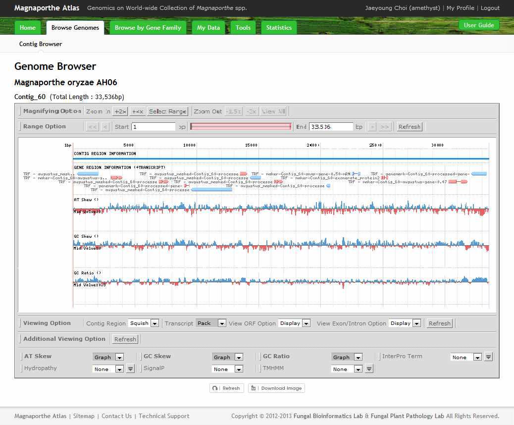 Screenshot of SNUGB module, showing location of predicted genes in a genome, AT/GC skew, and GC ratio.