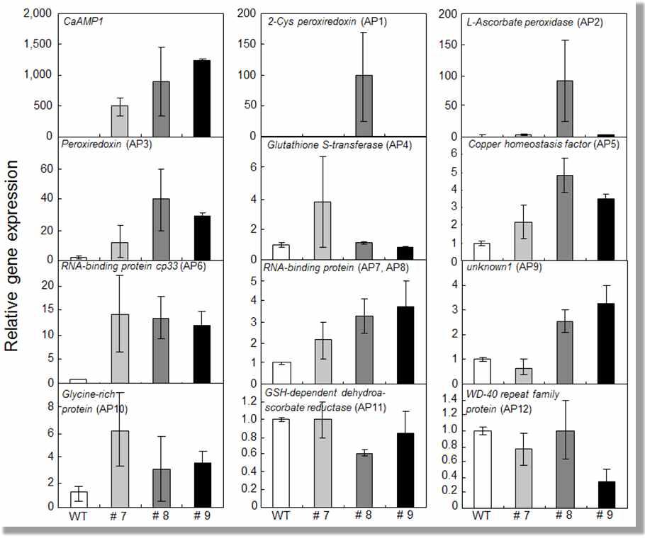 Quantitative real-time PCR analysis of Arabidopsis genes encoding proteins.