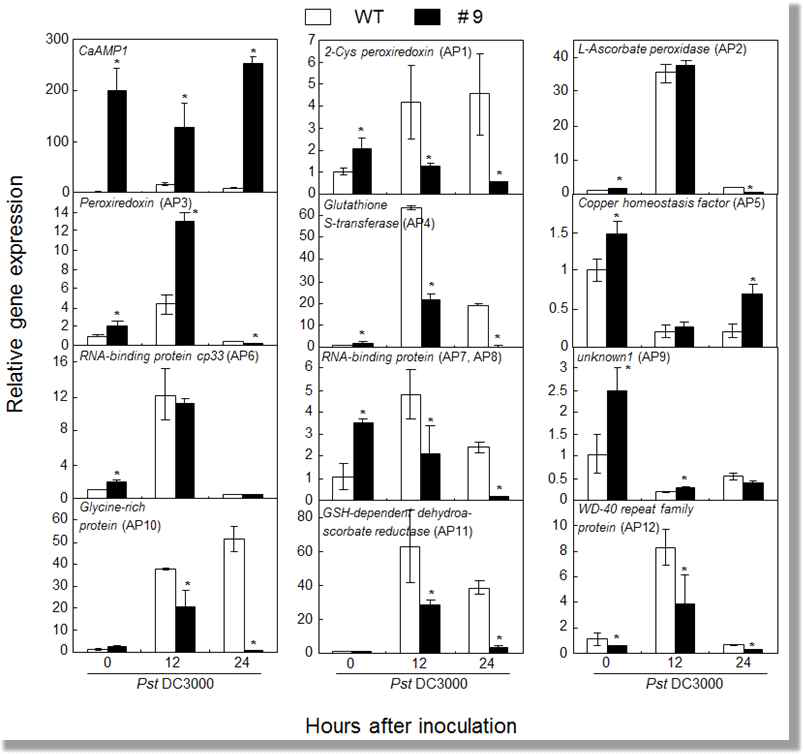 Quantitative real-time PCR analysis of Arabidopsis genes encoding proteins after infiltration with virulent Pst DC3000.