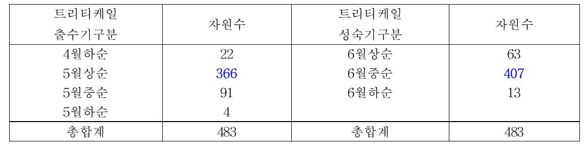 트리티케일 유전자원의 출수 성숙기 분포