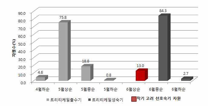 트리티케일 유전자원의 출수 성숙기 기간별 분포