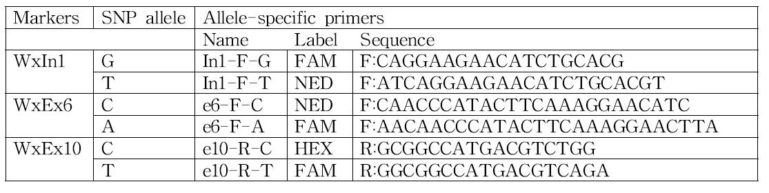 AS-PCR에 이용된 3개 SNP 프라이머