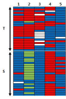 25개 저온발아 저항성(T)과 감수성(S)의 마커 genotype.