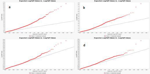 4개 모델에 대한 quantile-quantile plot.