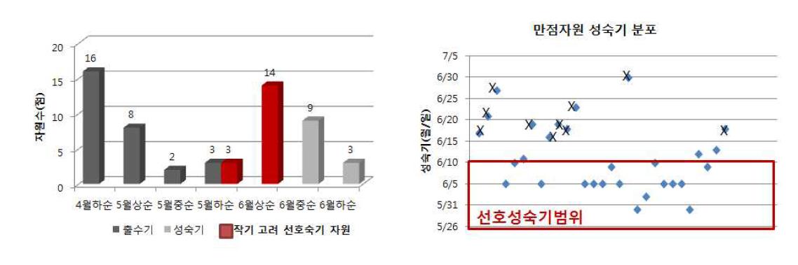 Glu-1 점수 10점 자원의 출수 성숙기 분포