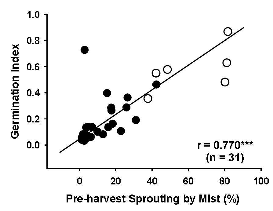 Relationship between pre-harvest sprouting percentage induced by mist and germination index in 31 Korean wheat cultivars with red grain color(●) and white grain color(○).