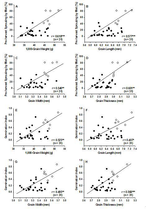 Relationship between 1,000-grain weight (A), grain length (B), grain width (C),grain thickness (D) and pre-harvest sprouting percentage induced by mist, and 1,000-grain weight (E), grain length (F), grain width (G), grain thickness (H) and germination index in 31 Korean wheat cultivars with red grain color(●) and white grain color(○).