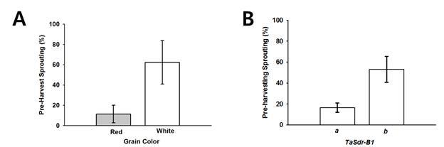 Mean pre-harvest sprouting of grain color (A) and TaSdr-B1 alleles (B) of 26 Korean wheat cultivars. Each bar represents mean ± standard error.