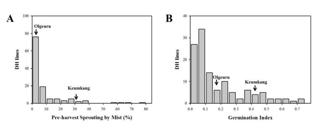 Frequency distributions of pre-harvest sprouting parameters in 122 DH population. (A) Percentage of pre-harvest sprouting induced by the mist spray (PHS-MS); (B) germination index (GI). Arrows indicate PHS-MS and GI of parental cultivars.