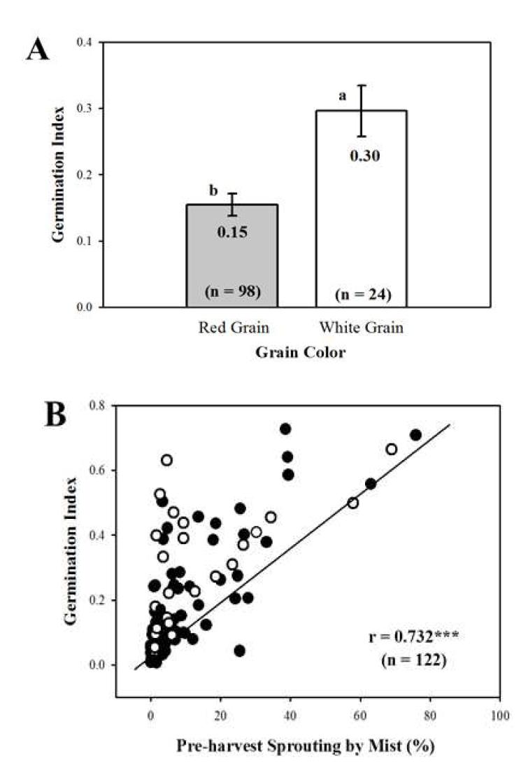 The differences in germination index according to the grain color (A) and relationship between percentage of pre-harvest sprouting induced by the mist spray (PHS-MS) and germination index (GI) in 122 DH population (B). Each bar represents mean ± standard error and values on the bars with different letters are significantly different at p < 0.05. 122 DH population with red grain color (●) and white grain color (○).