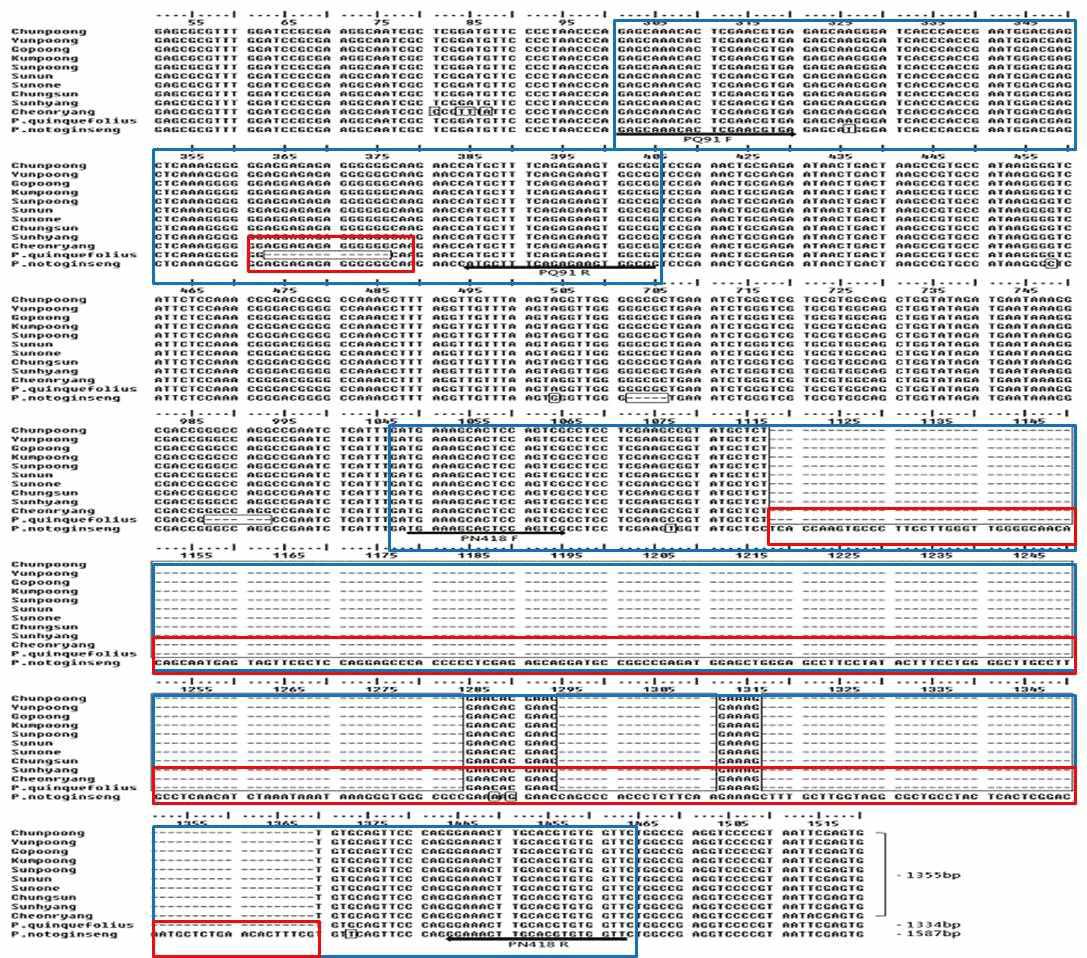미토콘드리아 MT11 프라이머를 이용한 고려인삼과 외국삼의 염기서열 비교 분석