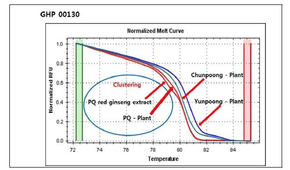 HRM 분석을 이용한 천풍, 연풍 및 미국삼 식물체와 미국삼으로 제조된 홍삼농축액 의 normalized melt curve 패턴. GHP 00130 프라이머 이용