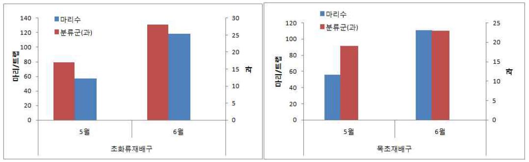 일반 노지 포장에서 초화류 재배에 따른 절지동물군 밀도 변화(2014)