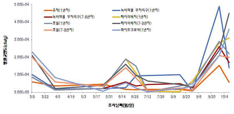 녹비작물 토양환원 후 시간에 따른 풋마름병 병원균 밀도 변화(포장, 2012)