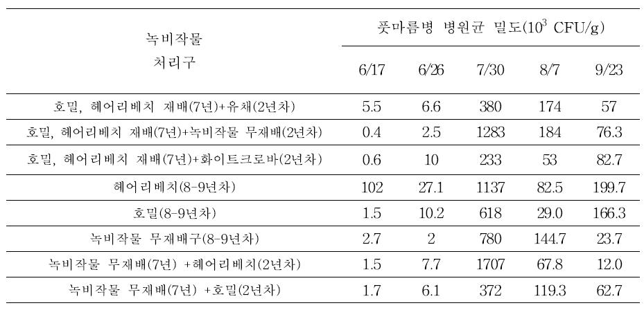 녹비작물 재배에 따른 토양 내 풋마름병 병원균 밀도조사(포장, 2013)