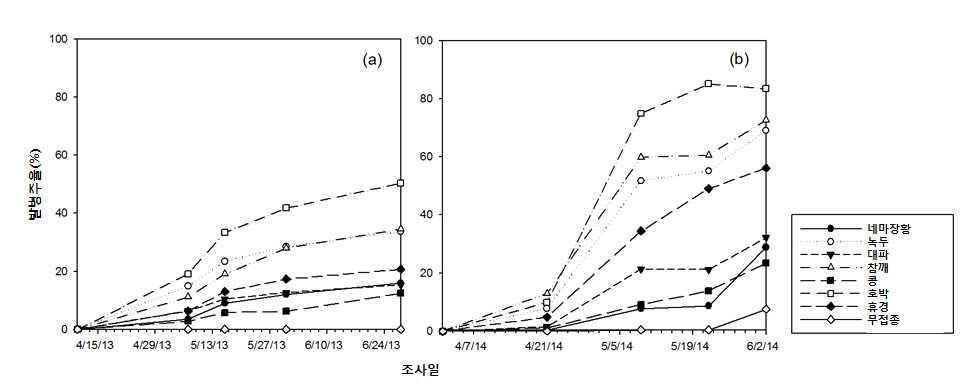 전작물 처리구 별 흑색썩음균핵병 발병주율(a: 2013년, b: 2014년)