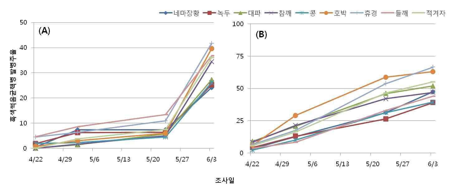 후작물 처리구 별 흑색썩음균핵병 발병주율(A: 서산 농가, B: 태안 농업기술센터 시험포장)