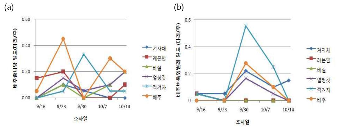 배추주위재배작물별주요해충밀도변화(a: 배추좀나방, b: 벼룩잎벌레, 2013, 가을작기)