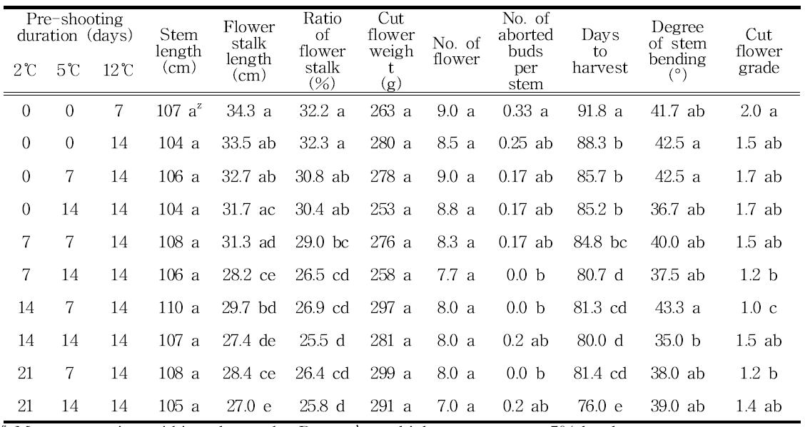 Effect of pre-shooting temperature and duration for enhancing cut flower quality of Lilium oriental hybrids ‘Siberia’ bulbs with 24 cm bulb circumference.