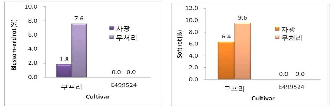 차광처리에 의한 과실의 열과발생율