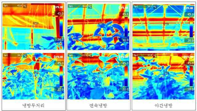 덕트를 이용한 근권 냉방에 따른 오전 9시의 온실 온도 분포