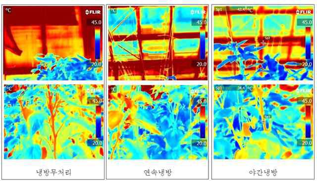 덕트를 이용한 근권 냉방에 따른 오후 1시의 온실 온도 분포