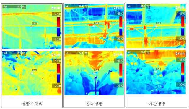 덕트를 이용한 근권 냉방에 따른 오후 7시의 온실 온도 분포