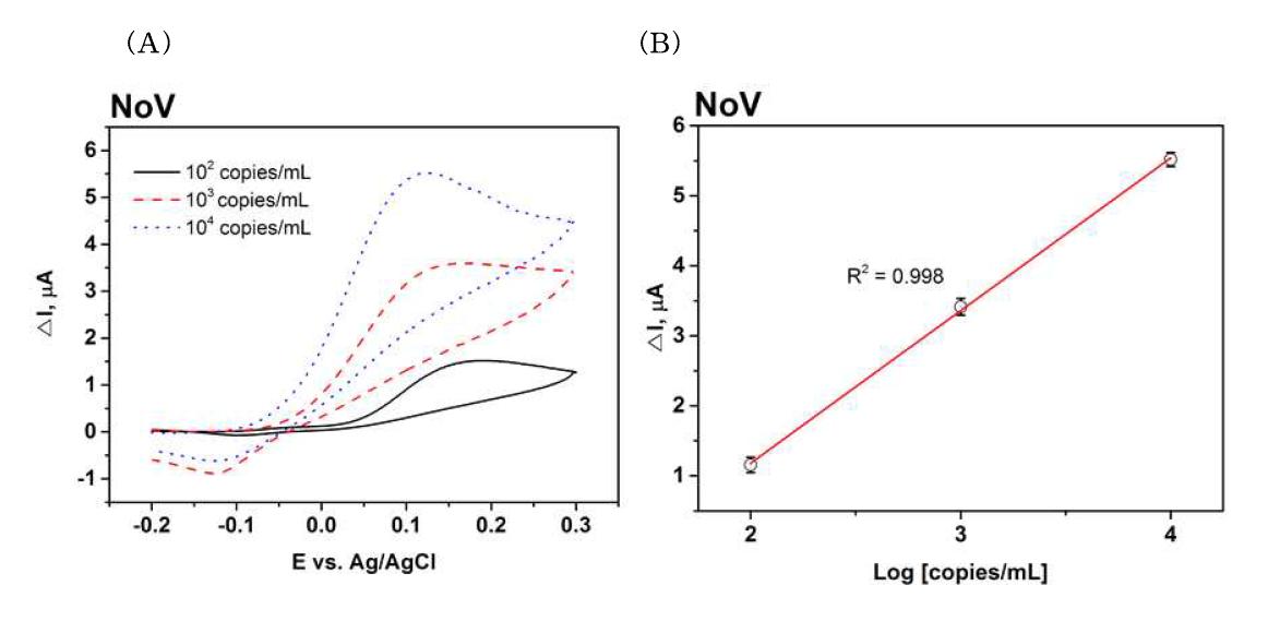 (A) Cyclic voltammetry measurements for different NoV concentrations (B) Linear relationship between the logarithmic value of the NoV concentration and the △current at 0.12V, which corresponds to the oxidation of AP