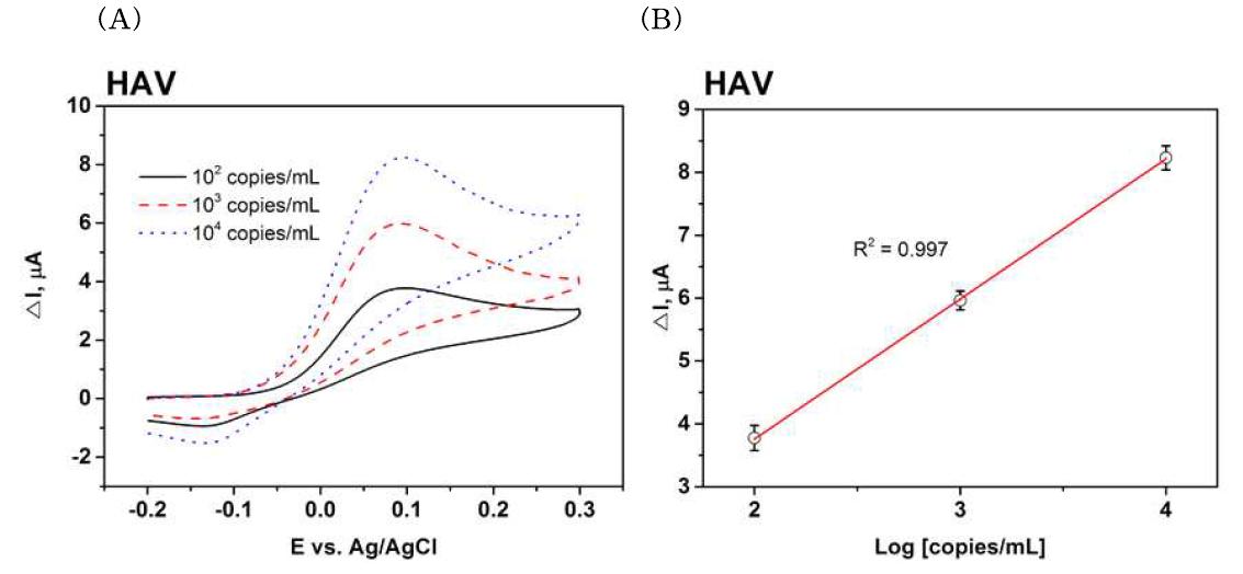 (A) Cyclic voltammetry measurements for different HAV concentrations (B) Linear relationship between the logarithmic value of the HAV concentration and the △current at 0.1V, which corresponds to the oxidation of AP