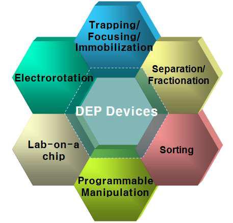 Application fields of DEP.