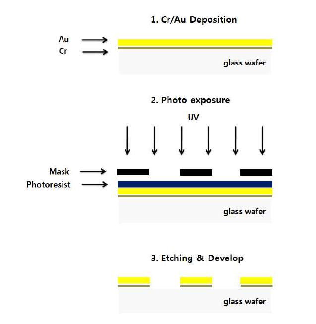 Fabrication process of micro-electrodes.