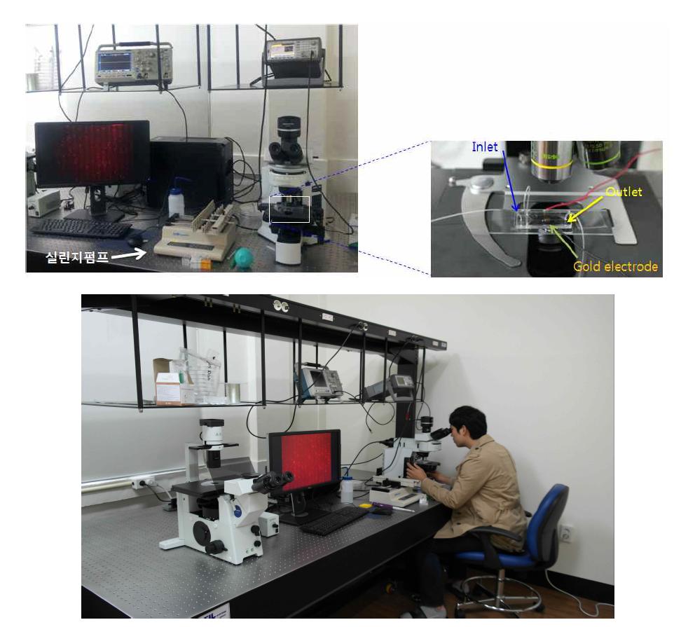 Experimental setup