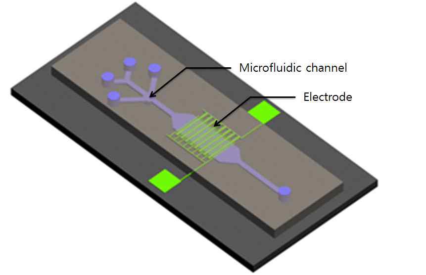 Schematic diagram of microfluidic device