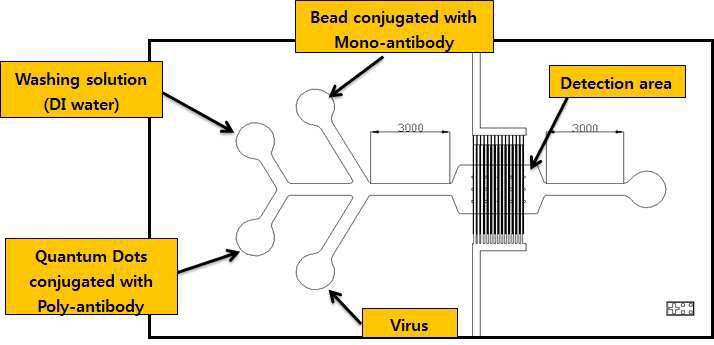 Schematic diagram of microfluidic channel