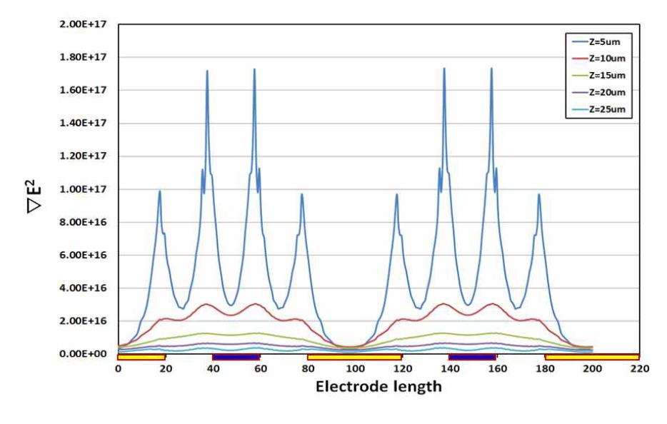 Gradient of electric field at an electrode ratio of 1:2