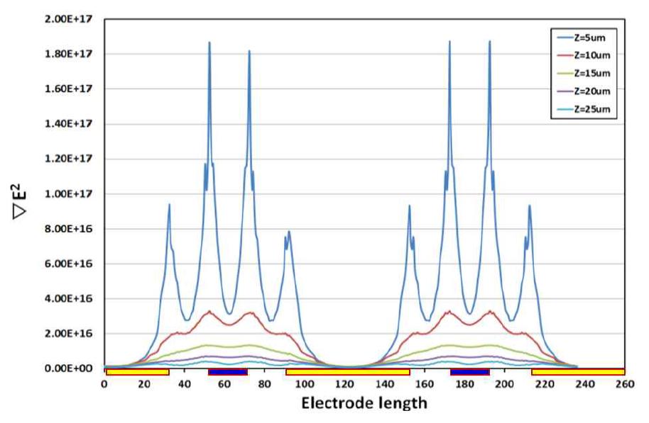 Gradient of electric field at an electrode ratio of 1:3