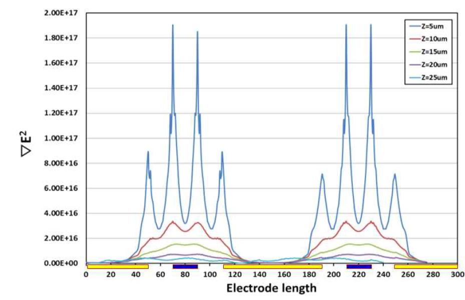 Gradient of electric field at an electrode ratio of 1:4