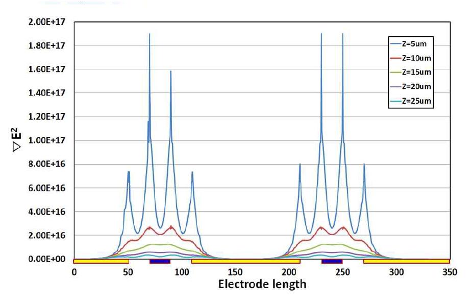 Gradient of electric field at an electrode ratio of 1:5