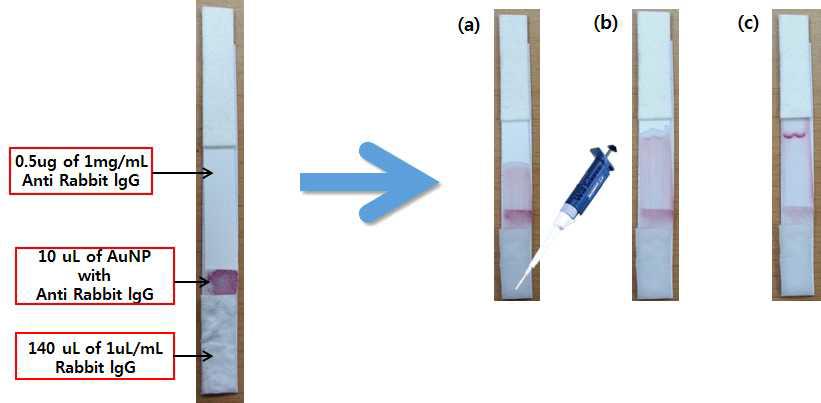 Experimental setup