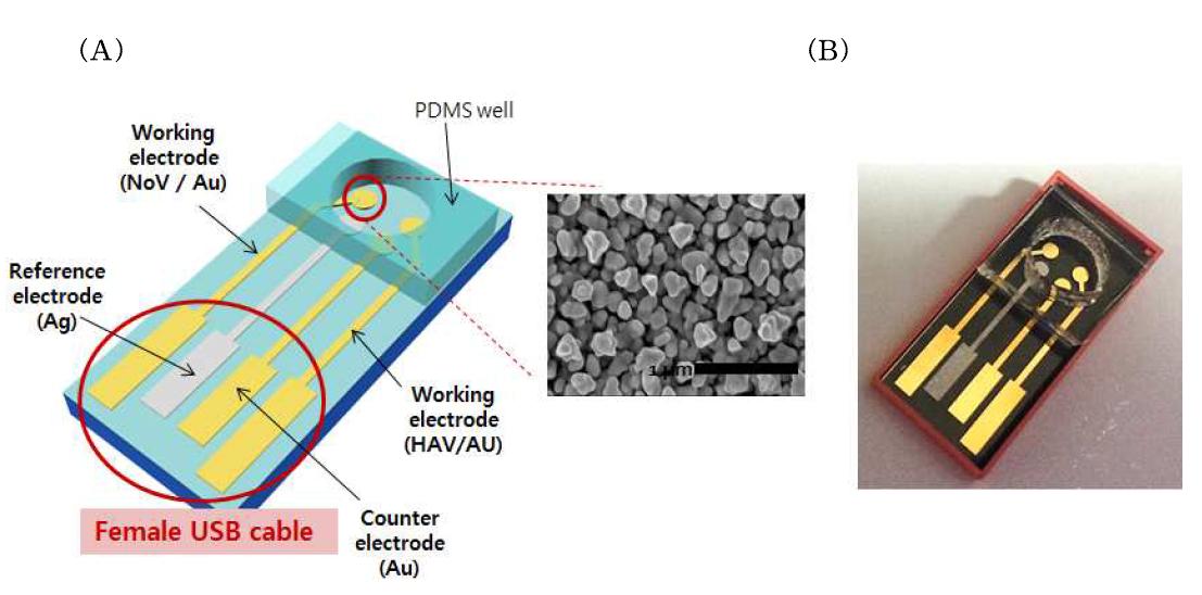 (A) Schematic of USB type NoV/HAV sensors (B) A picture of USB type sensor