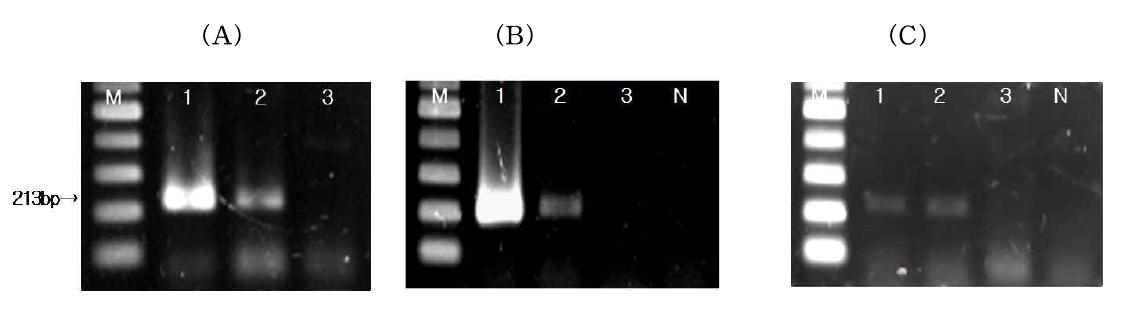 A comparison of the two methods for concentrating norovirus by reverse transcription-polymerase chain reaction (RT-PCR) assay