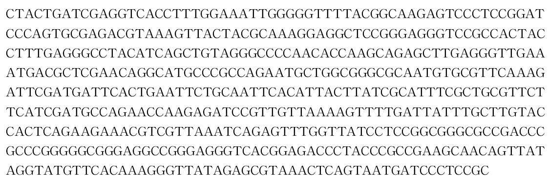 18S ribosomal RNA 유전자 염기서열